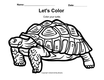 Turtle coloring page