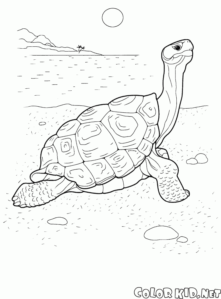 Coloring page
