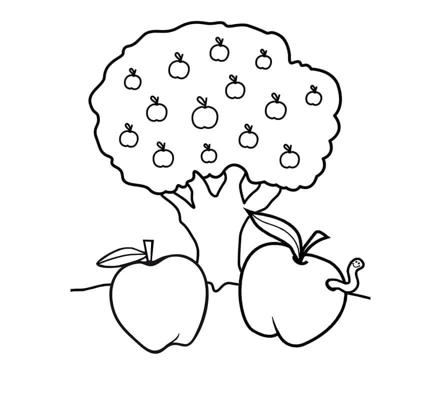 Apple tree and apples coloring page
