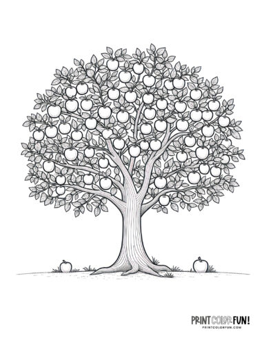 Apple clipart coloring pages to celebrate the autumn apple season at