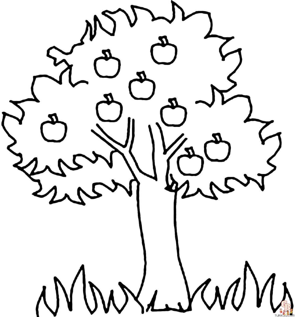 Find the best apple tree coloring pages online