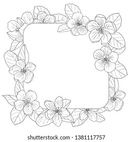 Hakuun beautiful apple blossom frame coloring page liittyvã vektorikuva rojaltivapaa