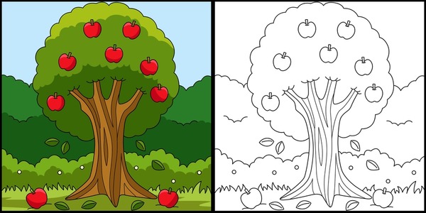 Apple tree color images stock photos d objects vectors