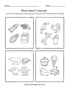 Belonging which does not belong to the group preschool activity