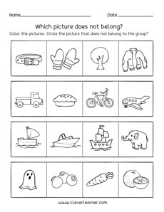 Belonging which does not belong to the group preschool activity