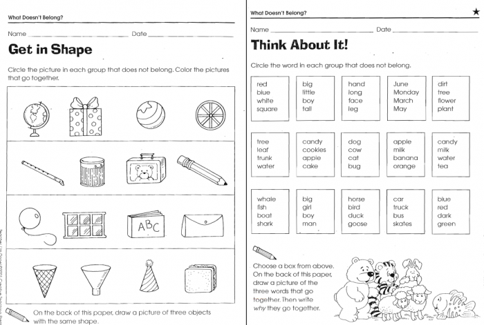 What doesnt belong worksheets