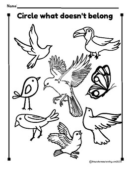 Circle what doesnt belong by life and homeschooling tpt