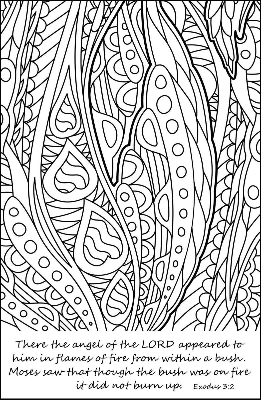 Mandala passover coloring book for adults â rachel mintz coloring books