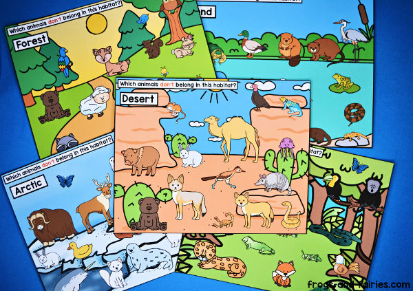 Animal habitats â frogs and fairies