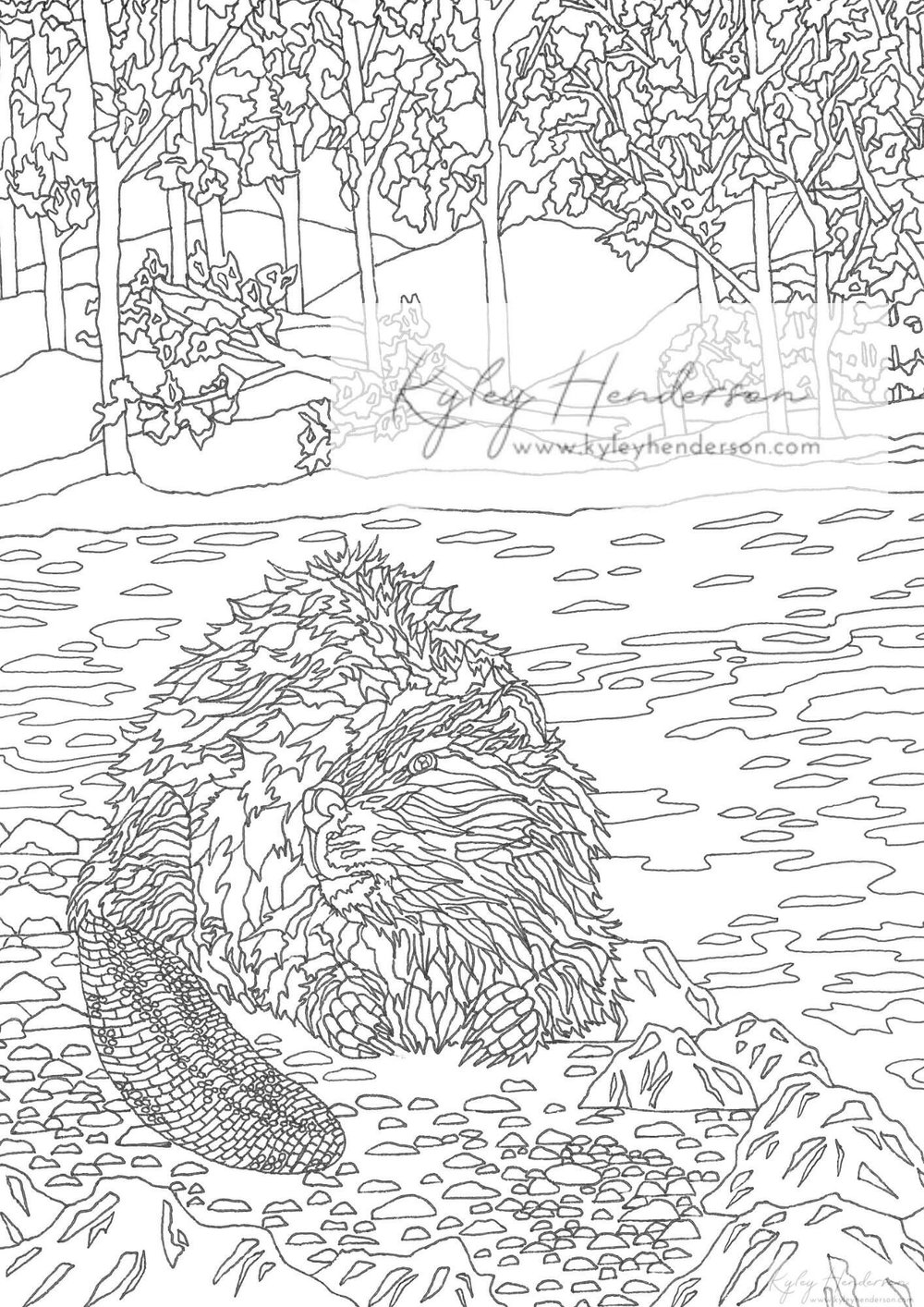 Beaver adult coloring pages beaver coloring page instant download printable beaver coloring pages â kyley henderson art