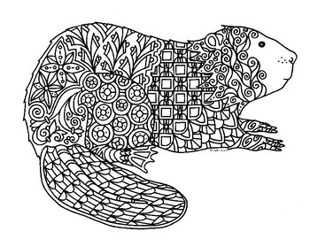 Beaver coloring page tpt