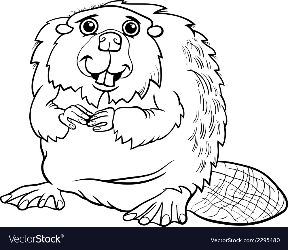 Beaver animal cartoon coloring page royalty free vector