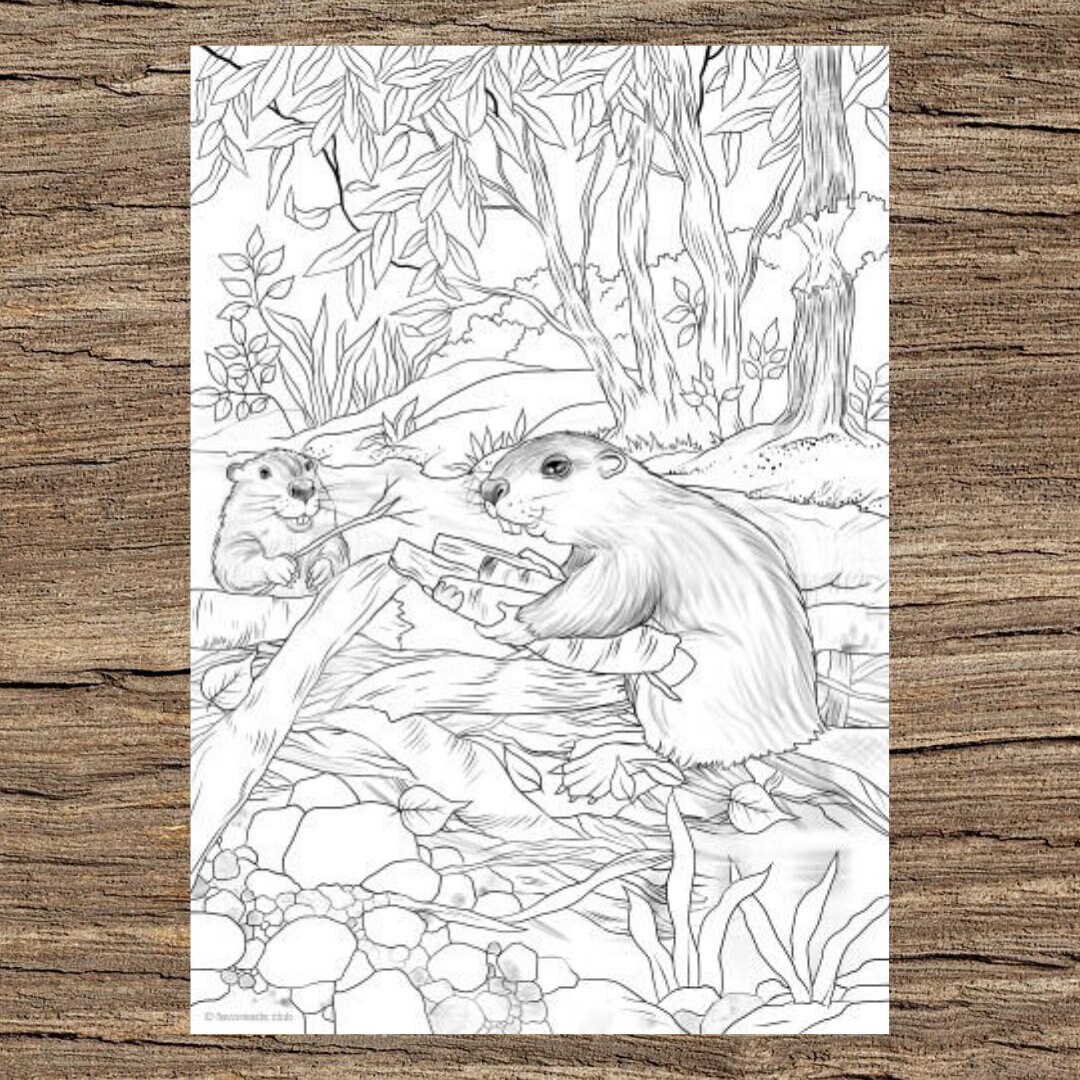 Beavers printable adult coloring page from favoreads coloring book pages for adults and kids coloring sheets colouring designs
