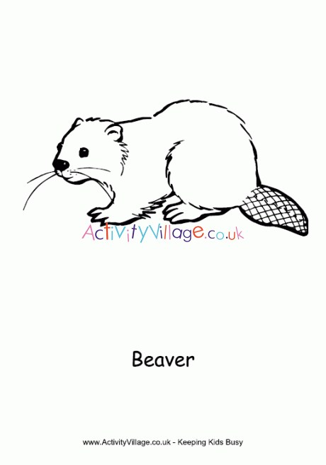 Beaver louring page