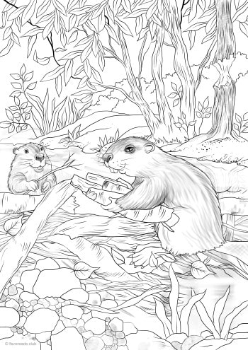 Beavers â favoreads coloring club