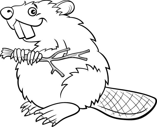 Cartoon beaver ic animal character coloring book page stock illustration