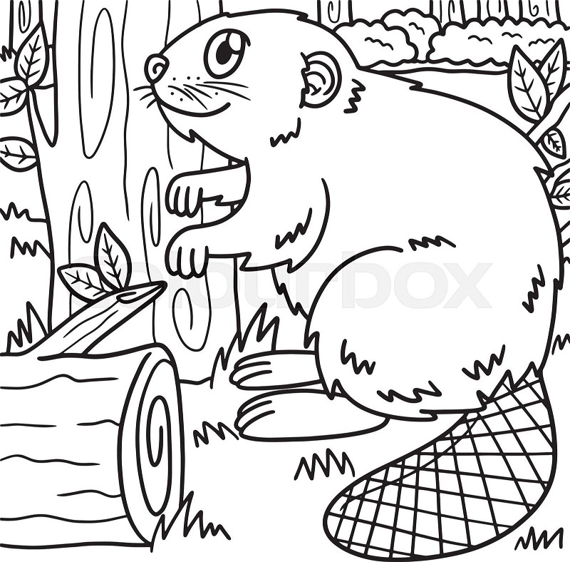 Beaver coloring page for kids stock vector