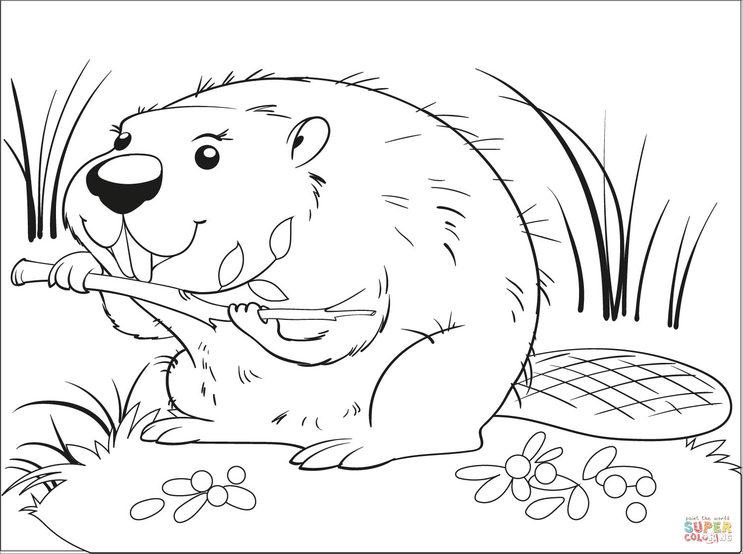 Beaver coloring page free printable coloring pages