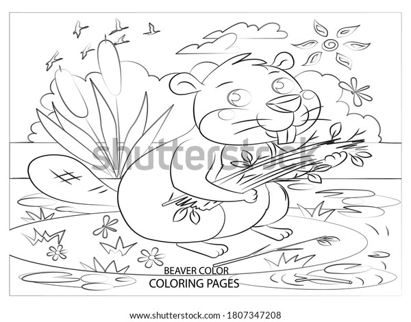 Beaver coloring pages animal coloring pageeasy stock vector royalty free