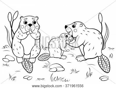 Cute cartoon beaver vector photo free trial bigstock