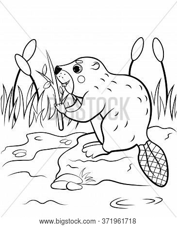 Coloring page outline vector photo free trial bigstock
