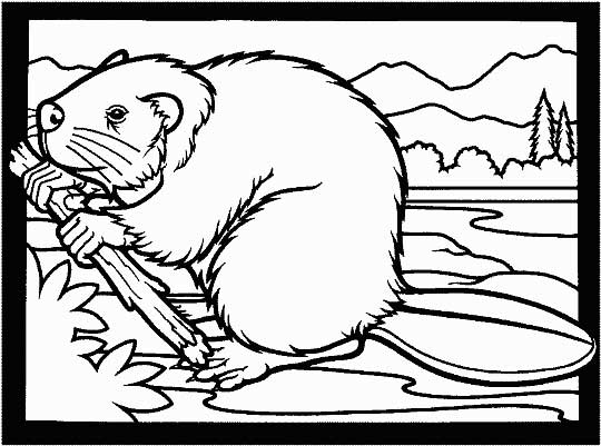 Beaver loring page for kids