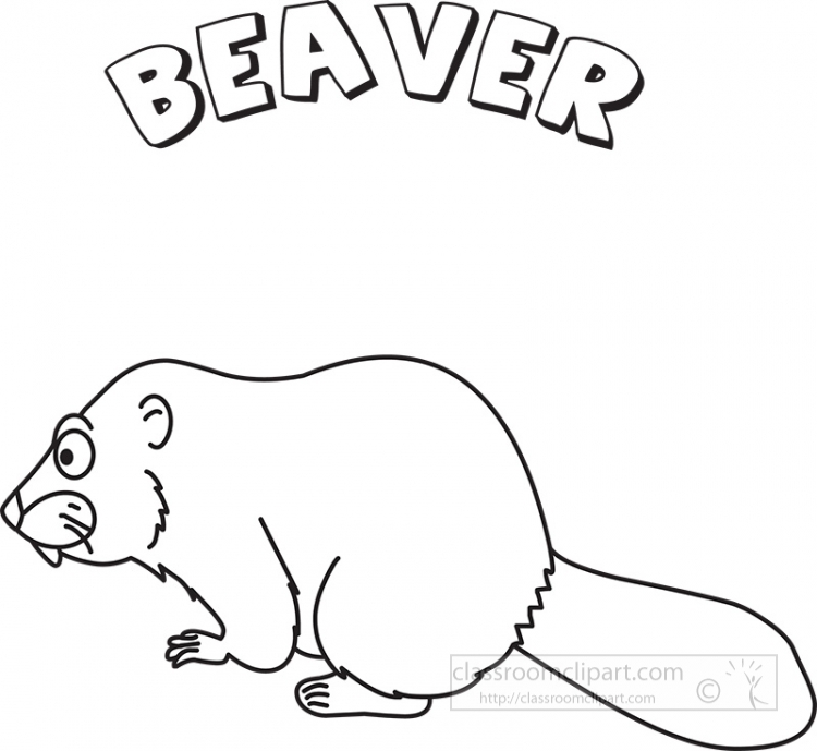 Beaver clipart