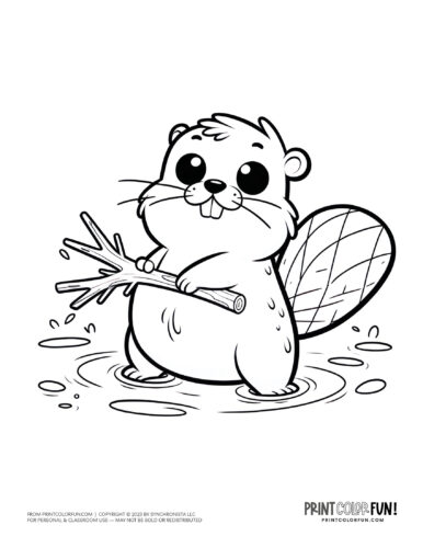 Beavers cute wild animal coloring pages clipart at