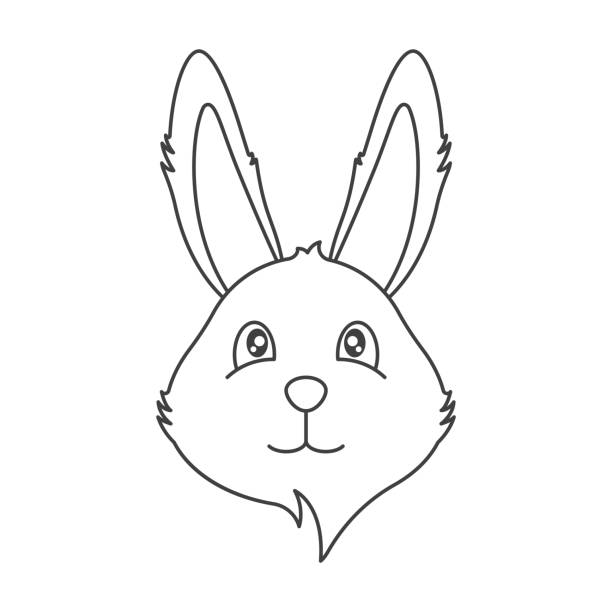 Rabbit nose stock illustrations royalty