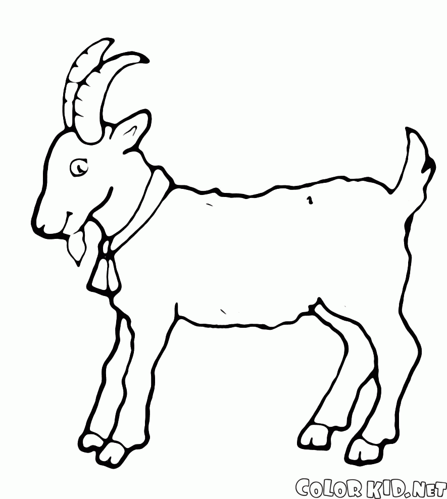 Coloring page