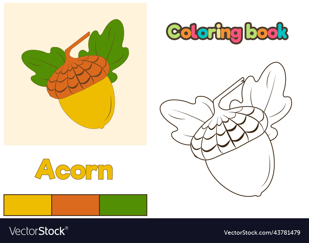 Acorn coloring book royalty free vector image