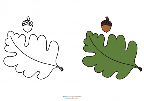 Match up coloring pages â leaf and acorn