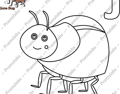 June bug projects photos videos logos illustrations and branding