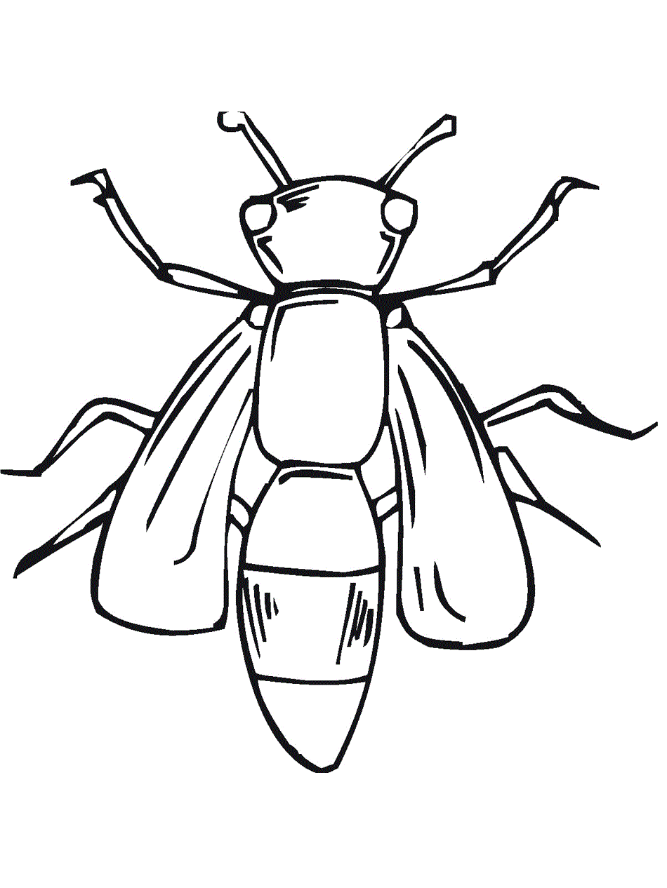 Free printable bug coloring pages for kids