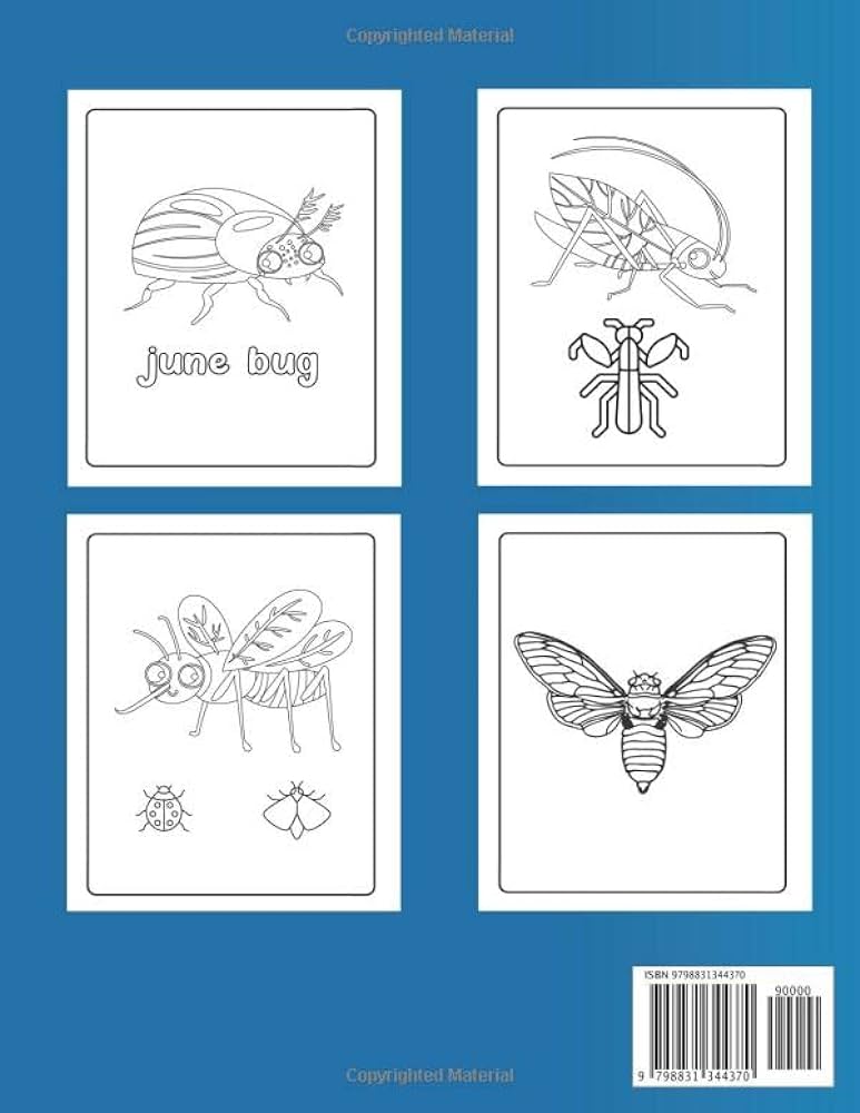 Insects coloring book for kids cutefun and kids friendly butterflies bees and bugs bug books for toddlers ages