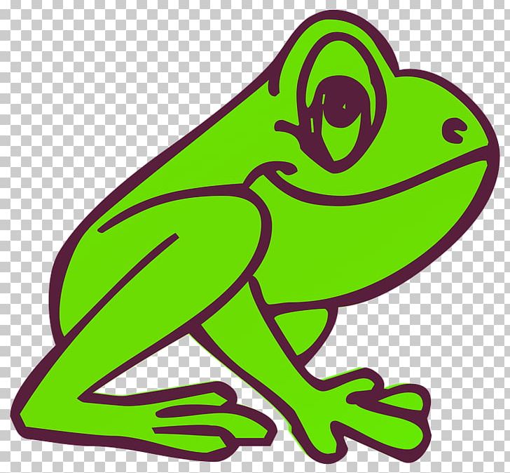 Tree frog coloring book kermit the frog frog and toad png clipart adult amphibian animal figure