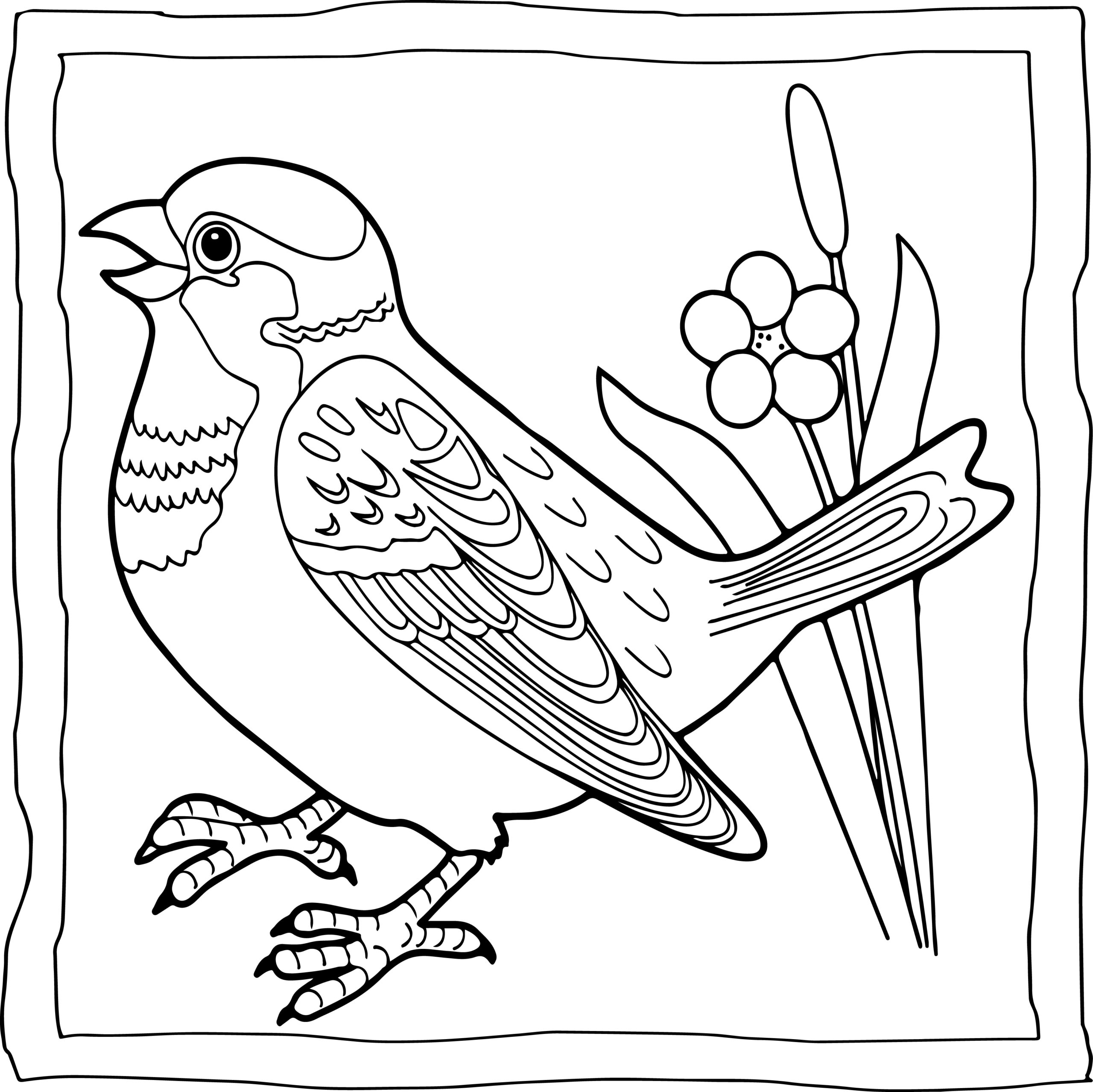 Sparrow coloring book easy and fun sparrows coloring pages for kids made by teachers