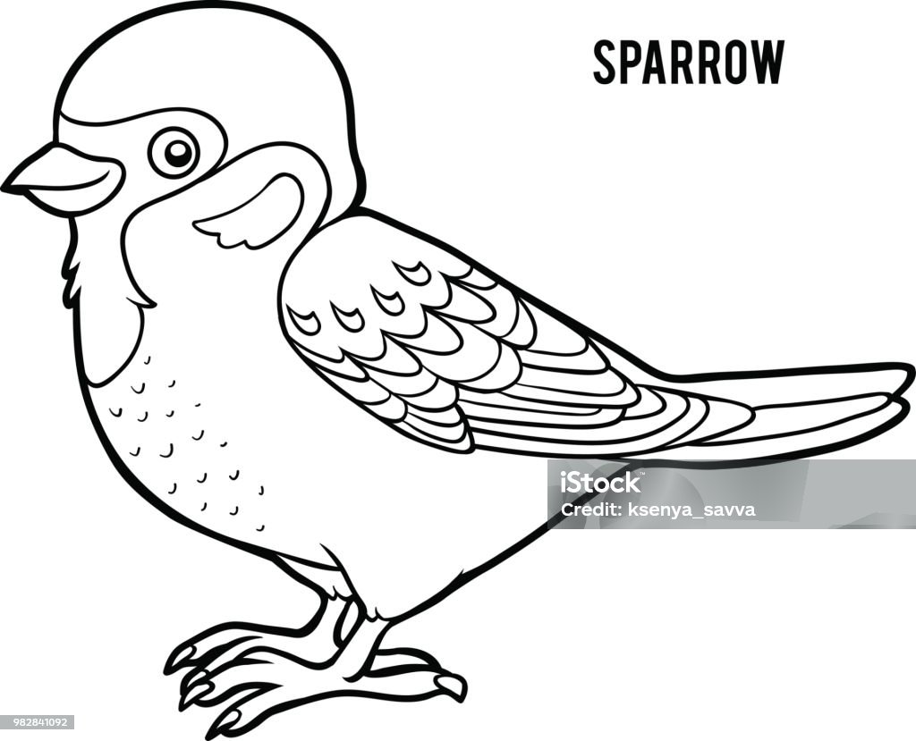 Coloring book for children sparrow stock illustration