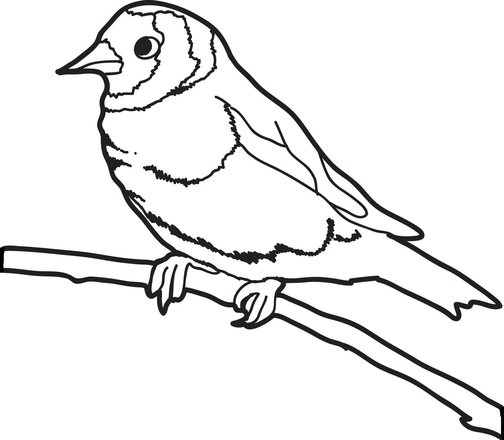Printable sparrow coloring page for kids â