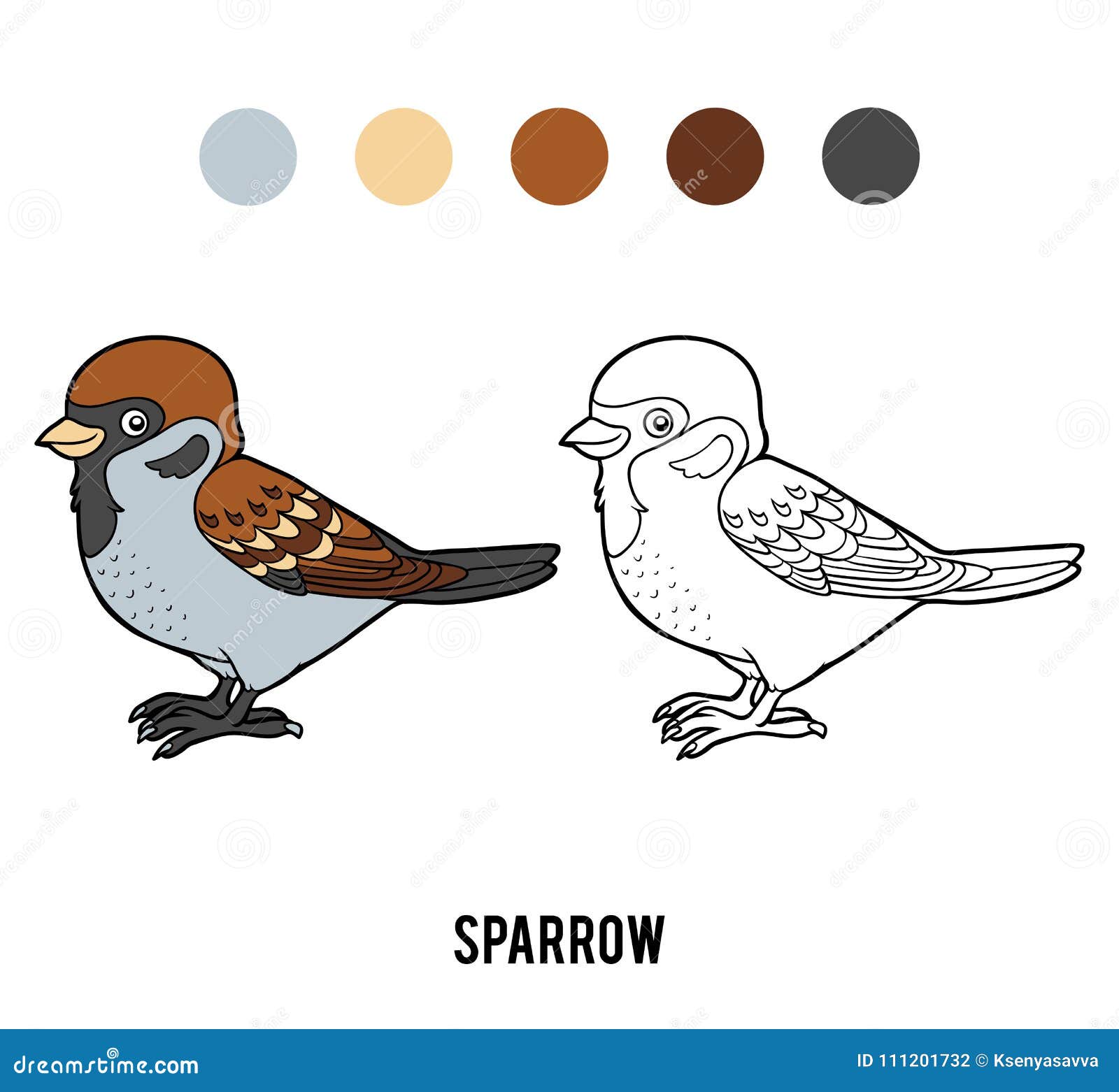 Coloring book sparrow stock vector illustration of coloration