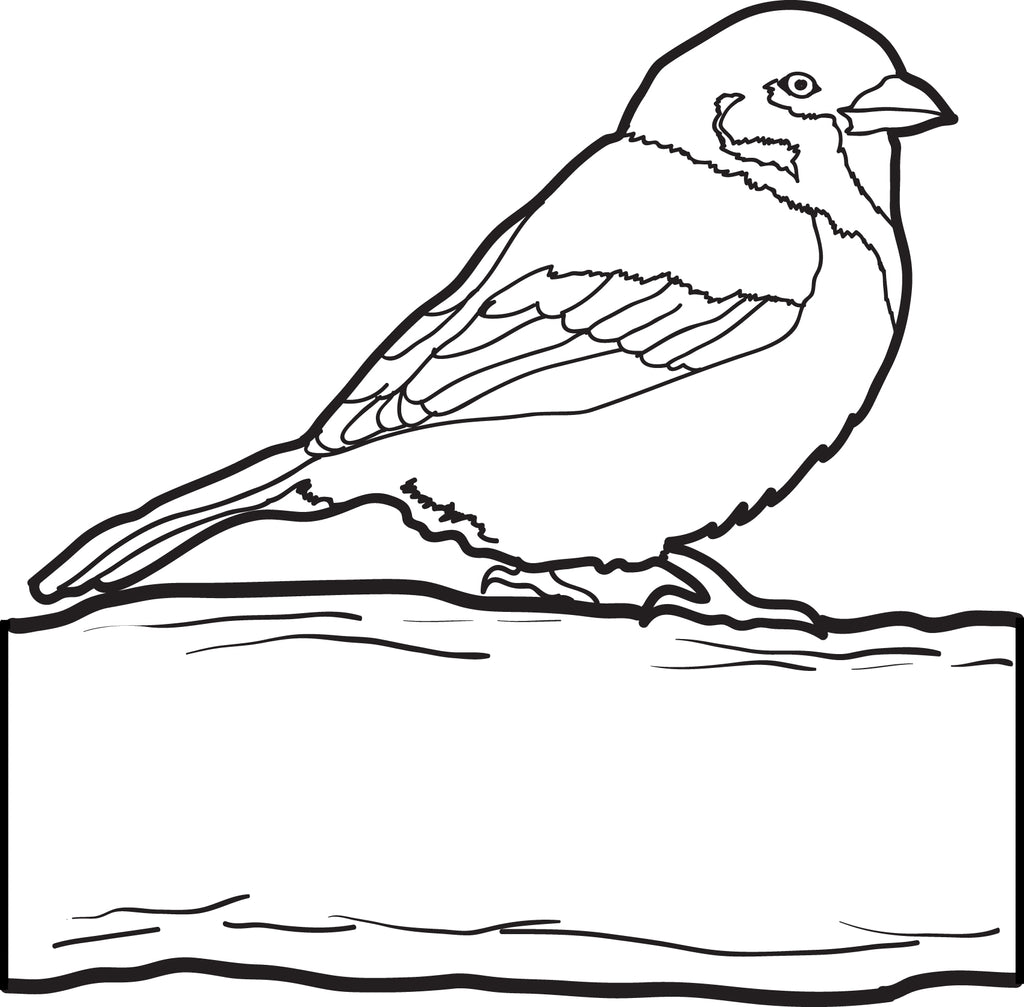 Printable sparrow coloring page for kids â