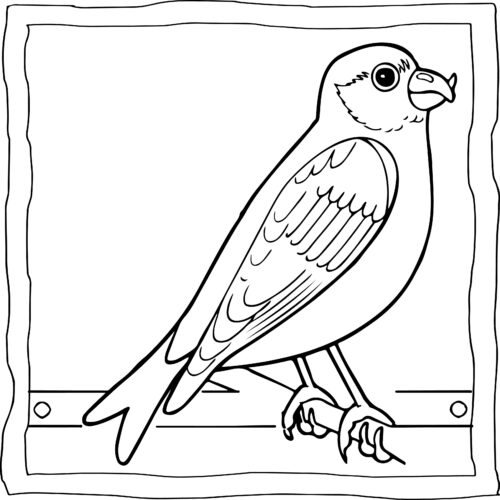 Sparrow coloring book easy and fun sparrows coloring pages for kids made by teachers