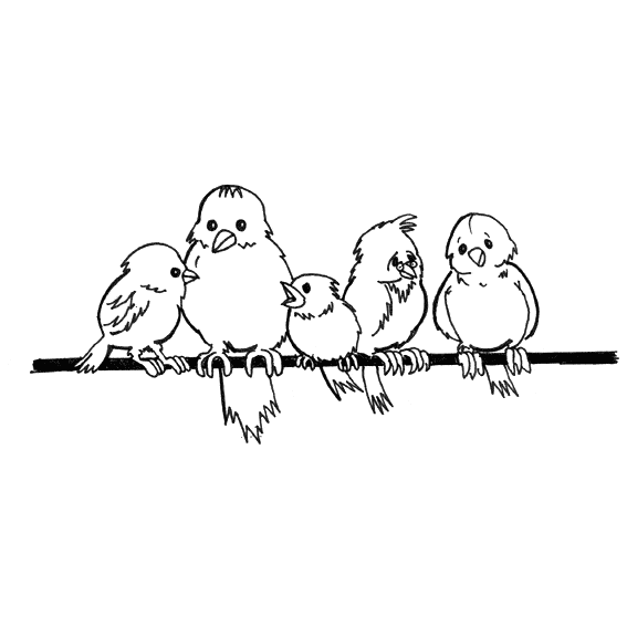 Sparrow coloring page