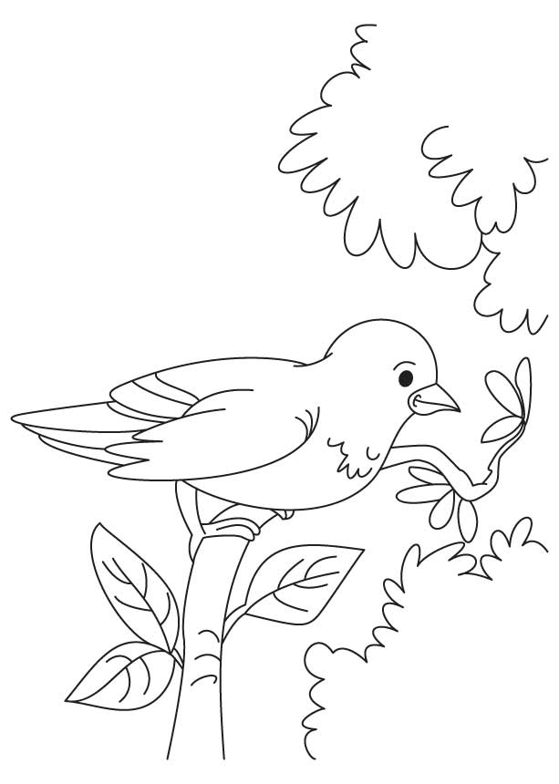 Little sparrow coloring page download free little sparrow coloring page for kids best coloring pages