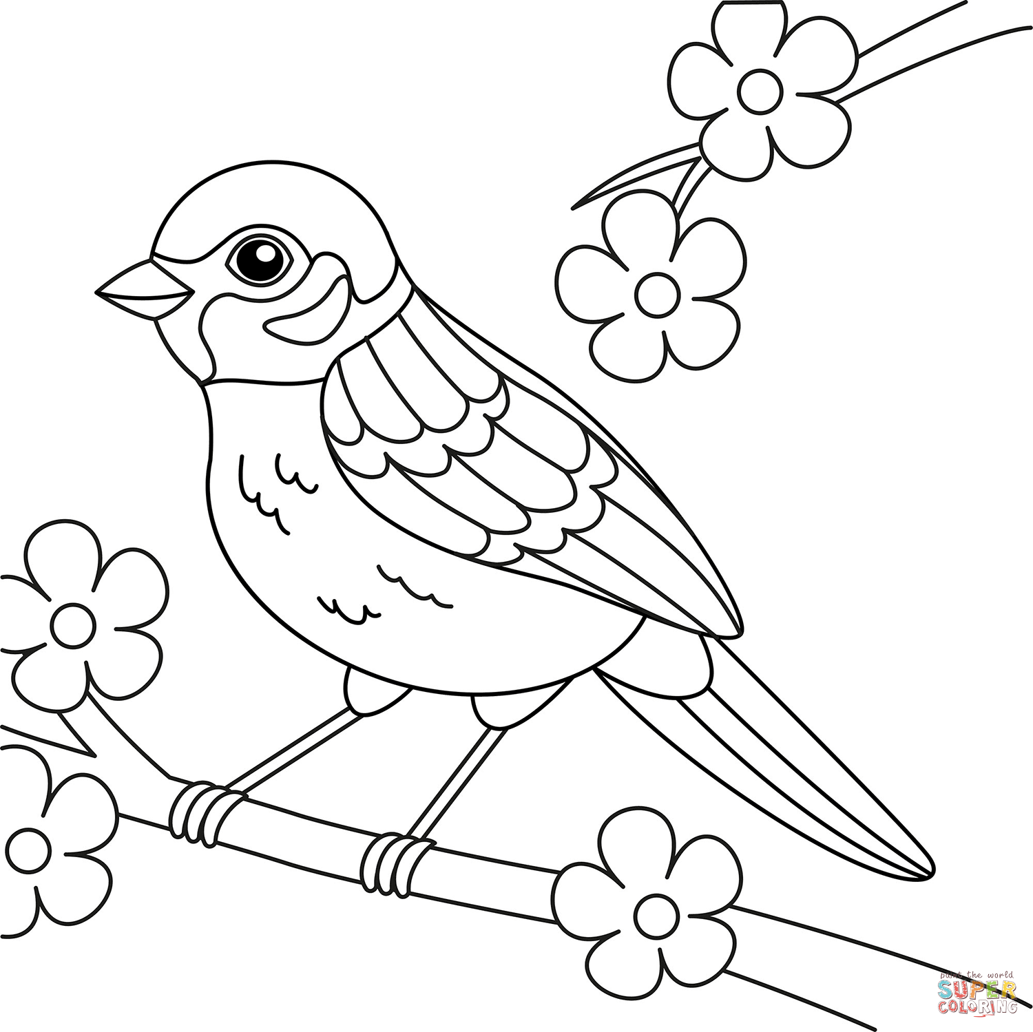Sparrow coloring page free printable coloring pages