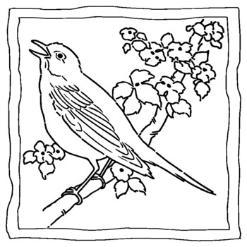 Sparrow coloring book sparrow coloring pages by abdell hida tpt