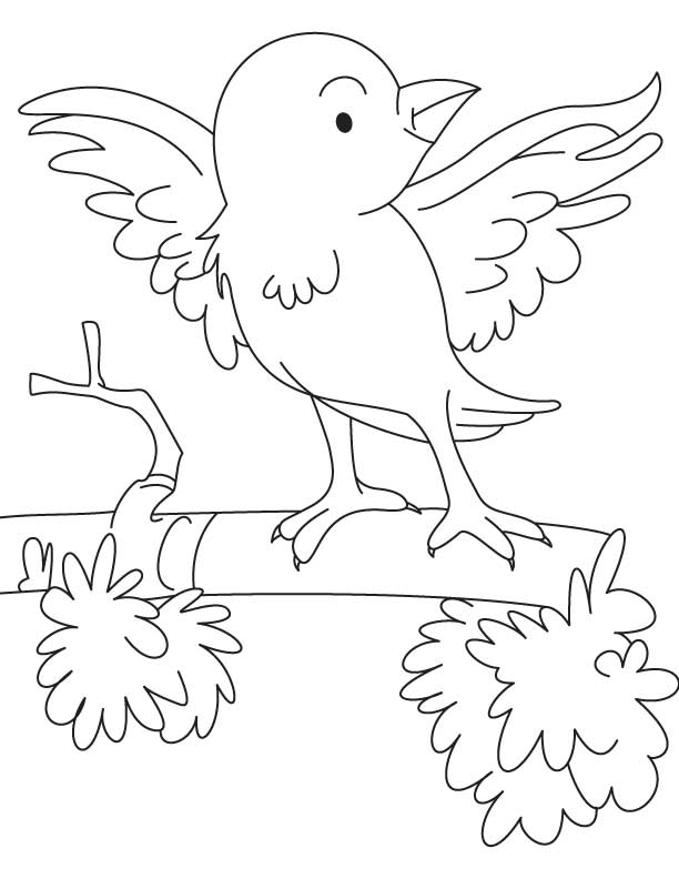Sparrow coloring pages