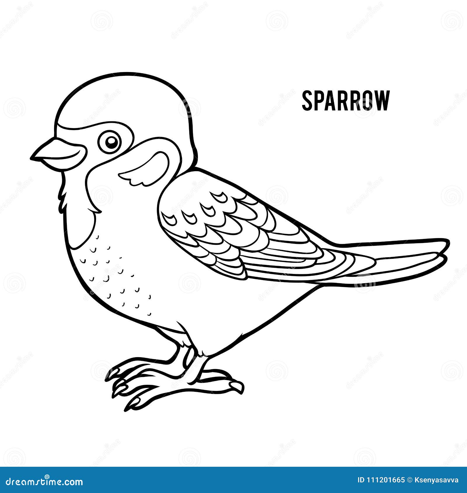 Coloring book for children sparrow stock vector