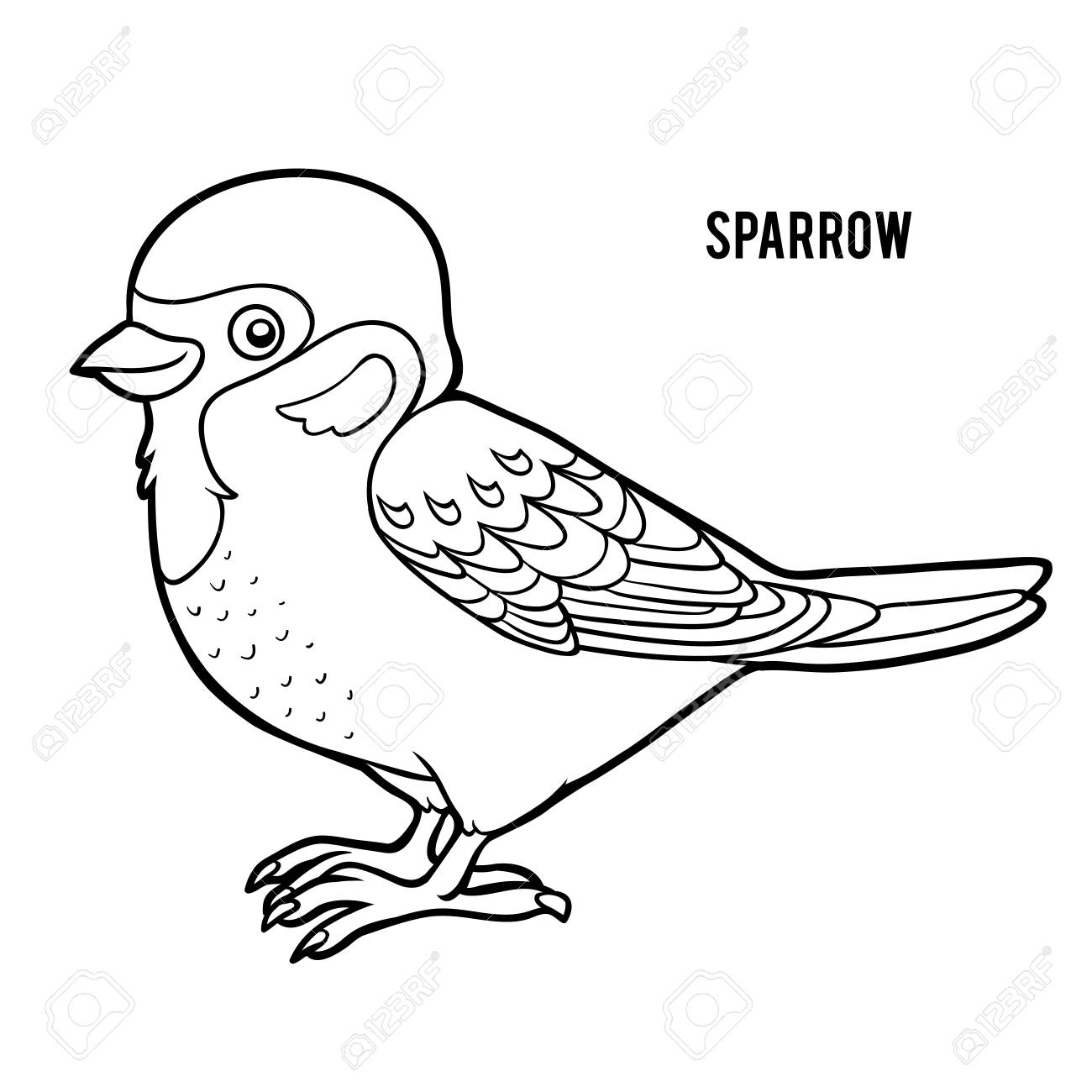 Coloring book for children sparrow vector illustration royalty free svg cliparts vectors and stock illustration image