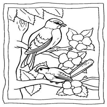 Sparrow coloring book sparrow coloring pages by abdell hida tpt